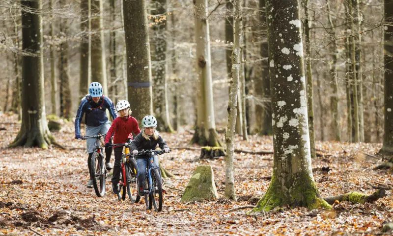 En man och två barn cyklar i en skog.