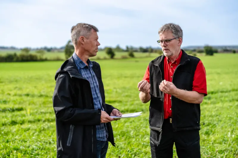 Kommunekolog Kristian Eno och Dan Karlsson, ordförande i Harplinge samhällsförening, pratar på en grön åker.